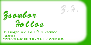 zsombor hollos business card